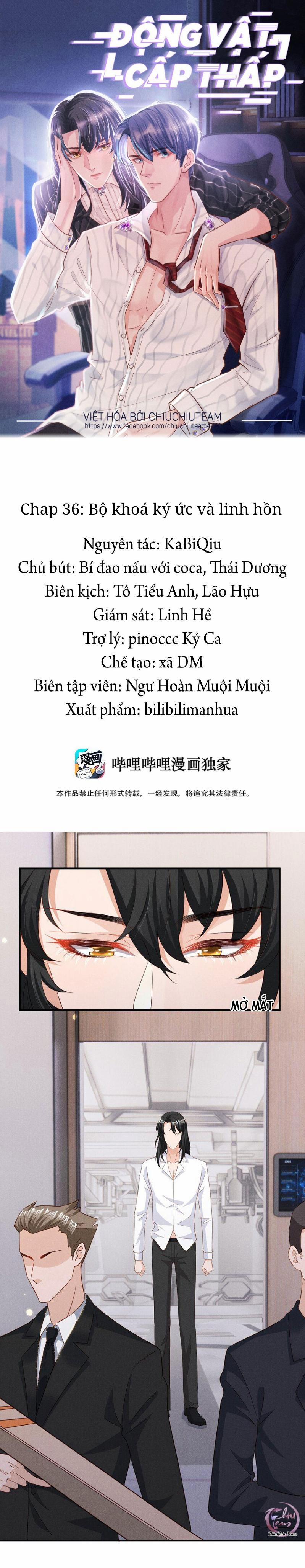 Động Vật Cấp Thấp (END) 36 trang 0