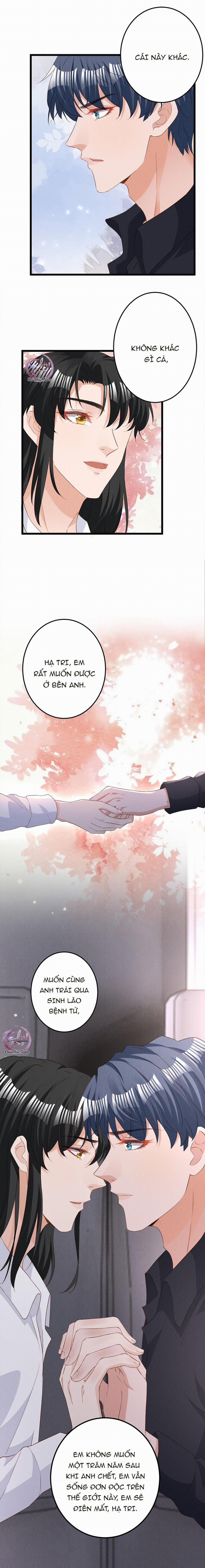 Động Vật Cấp Thấp 37 trang 1