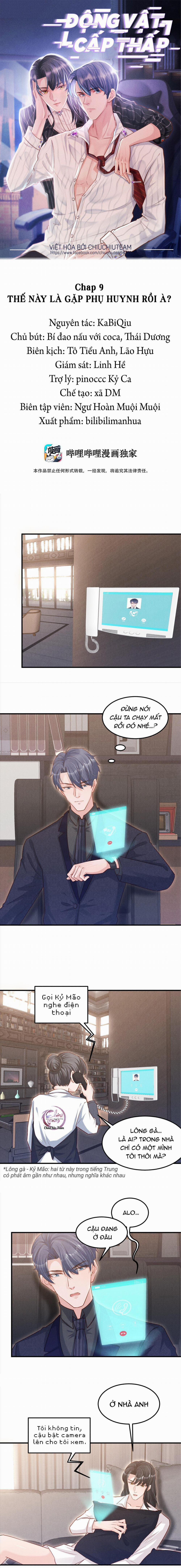 Động Vật Cấp Thấp 9 trang 0