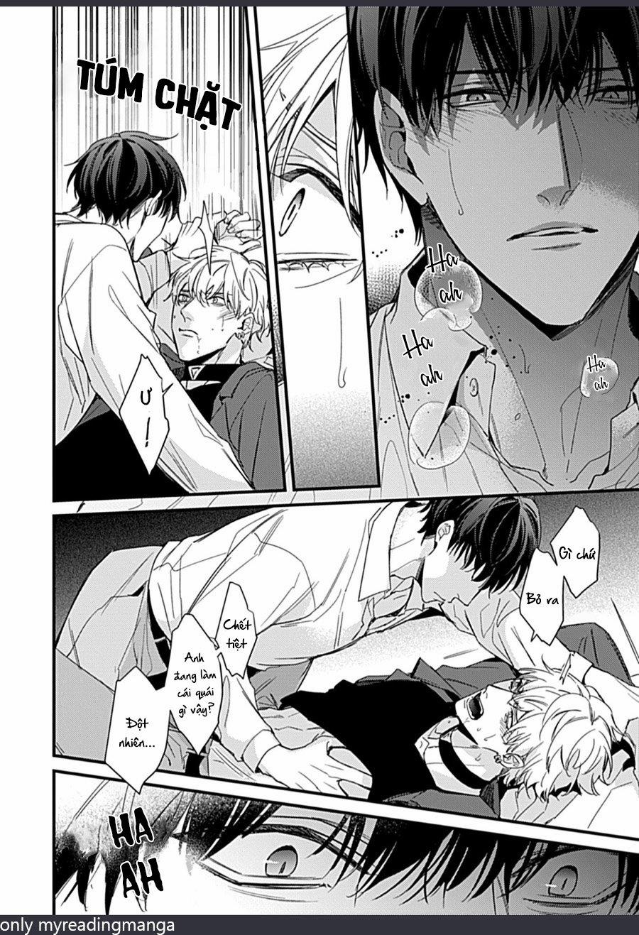 Drastic Omega 3 trang 27