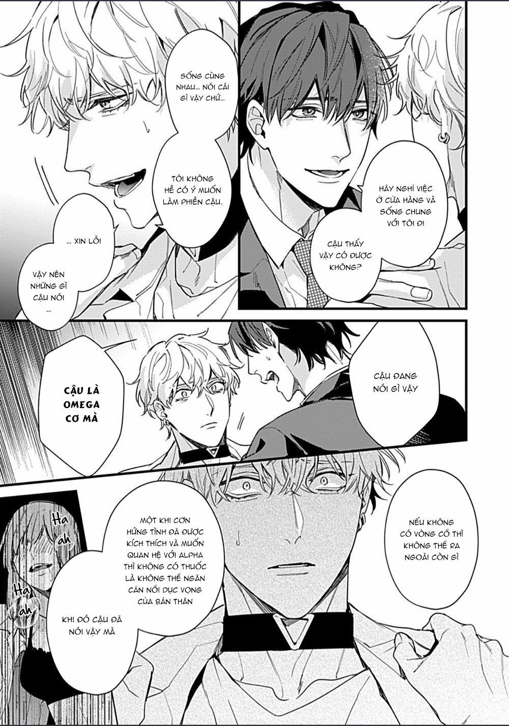 Drastic Omega 5.2 trang 11