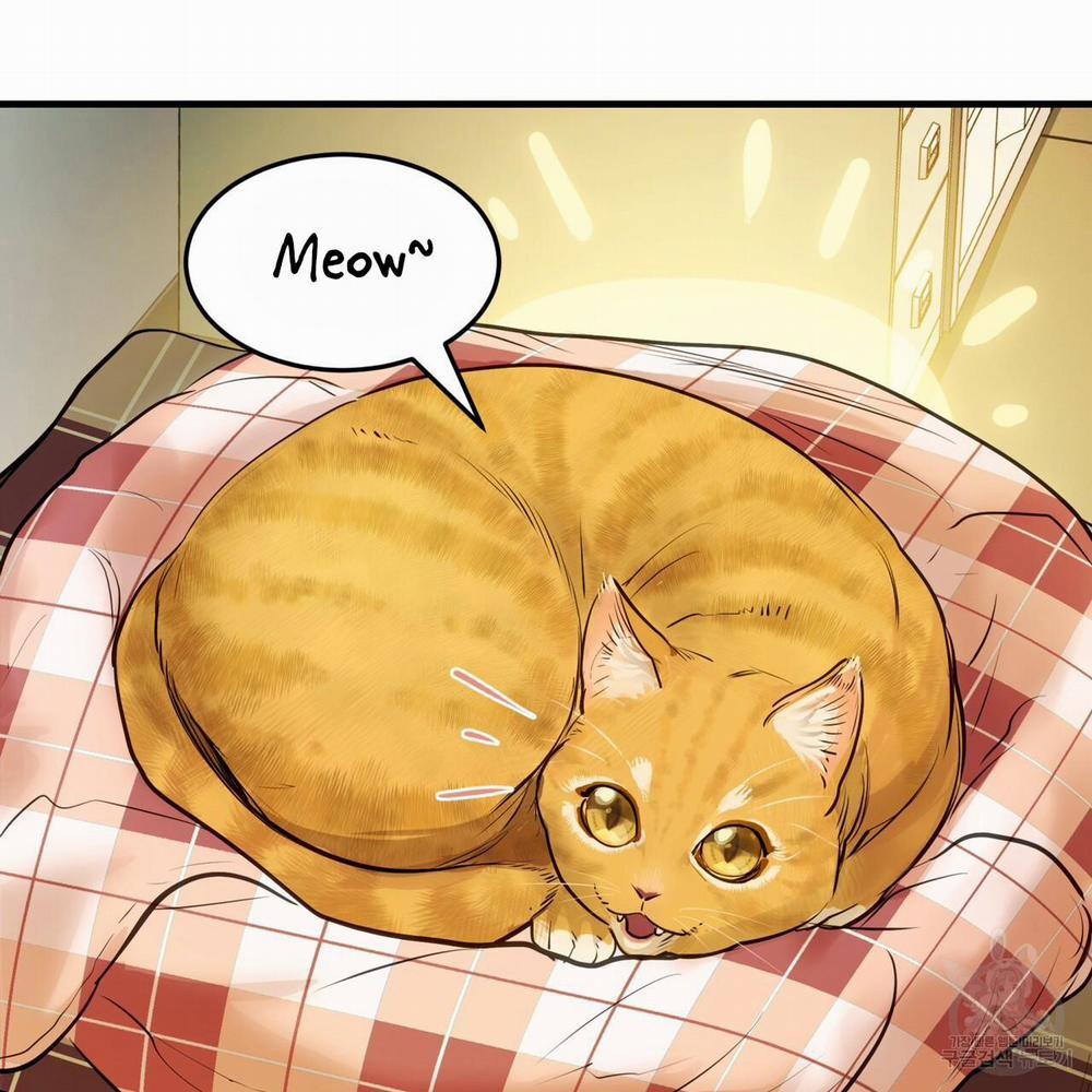 [Drop] Người Lạ Trong Gương 13 trang 3