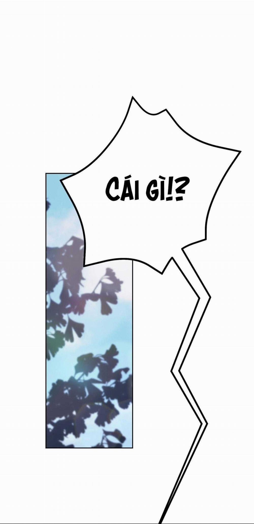 Dự Án Mọt Sách 38 trang 16