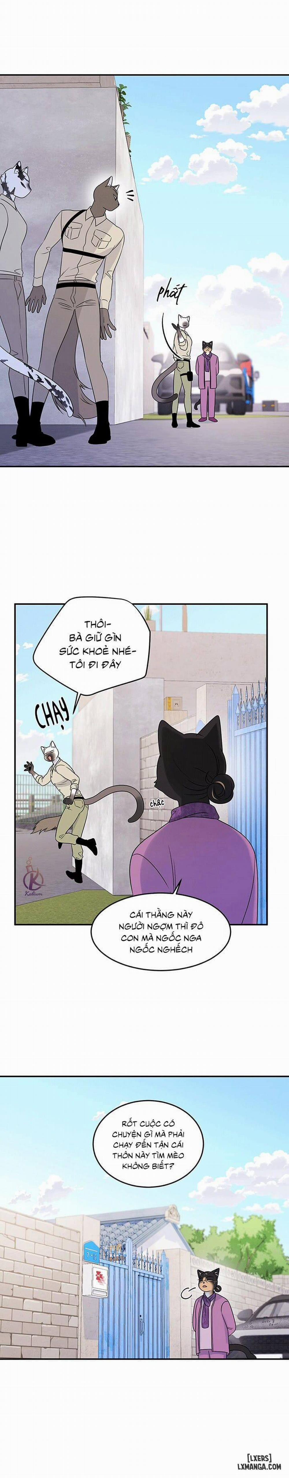 Dự án xanh 27 trang 10