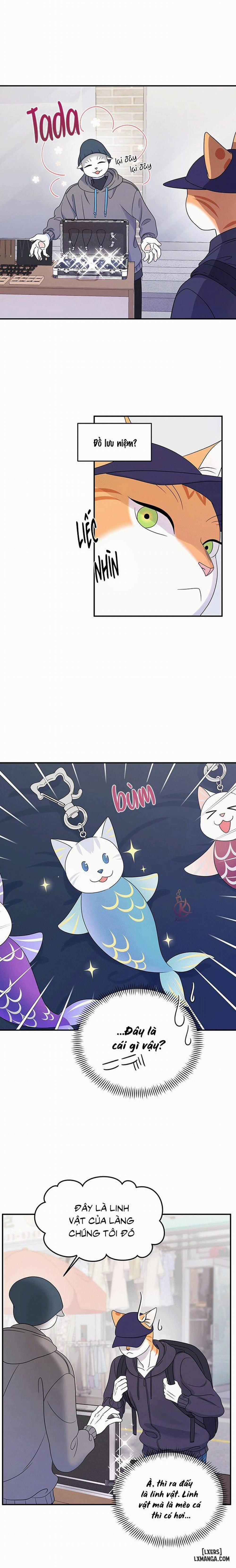 Dự án xanh 27 trang 13