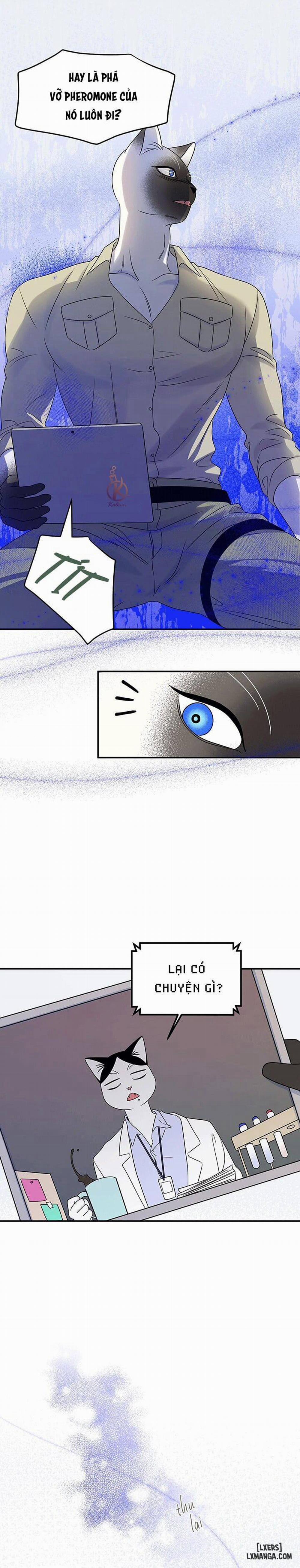 Dự án xanh 27 trang 19