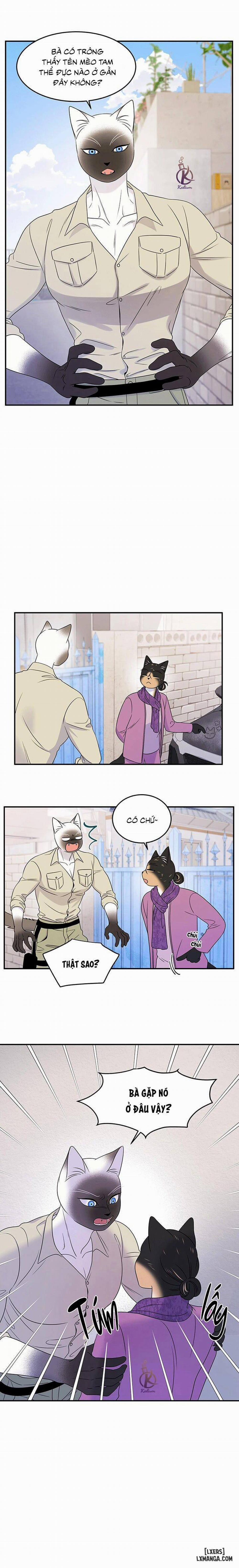 Dự án xanh 27 trang 8