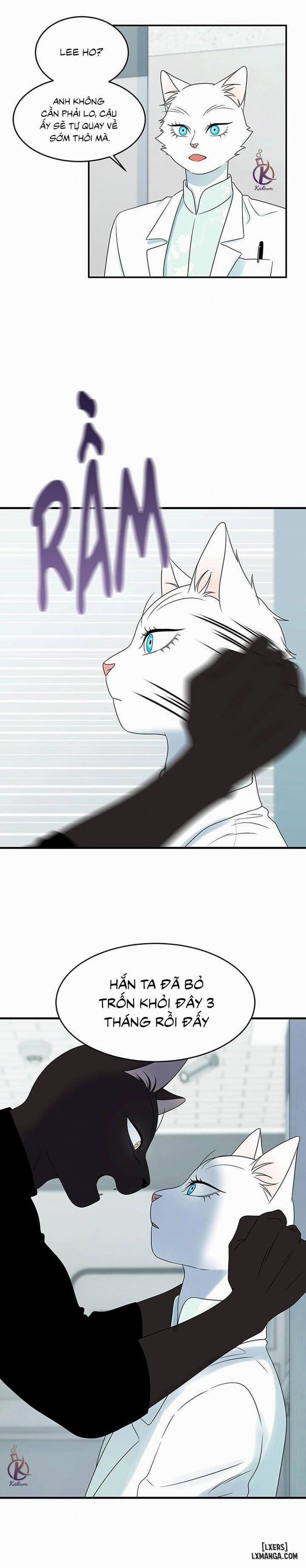 Dự án xanh 28 trang 10