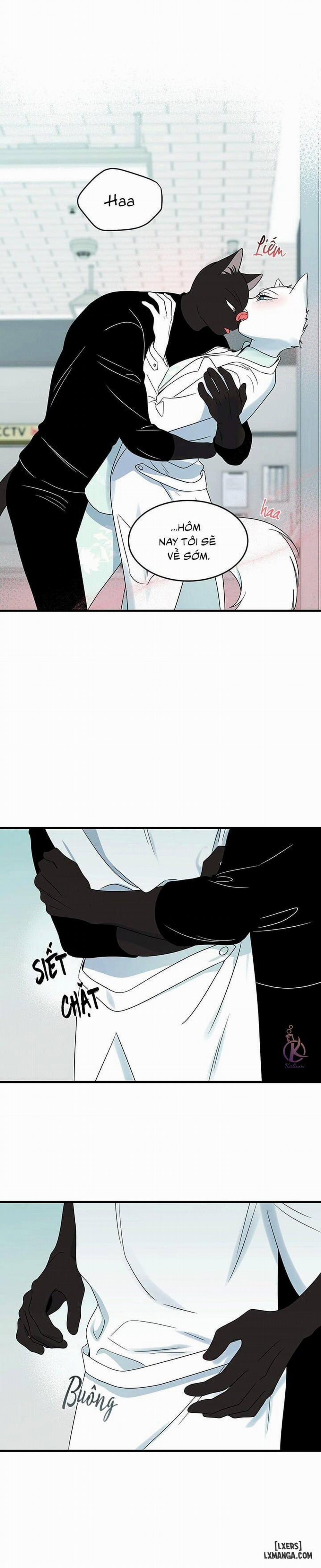 Dự án xanh 28 trang 13