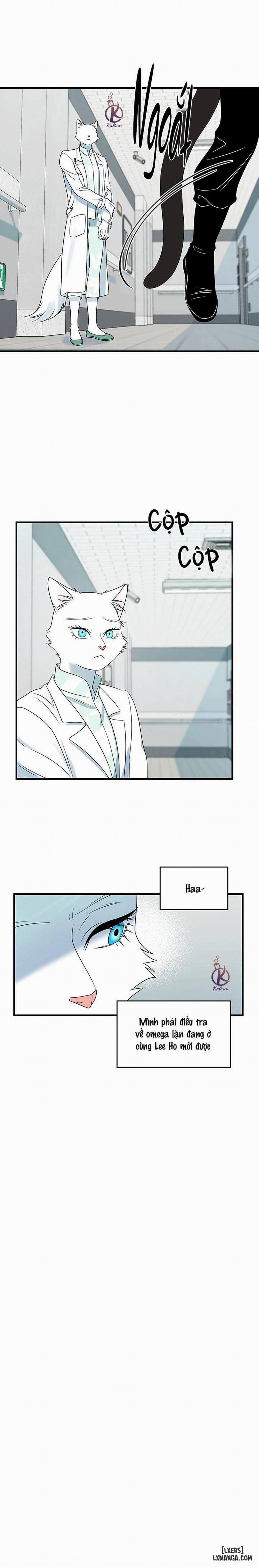 Dự án xanh 28 trang 14