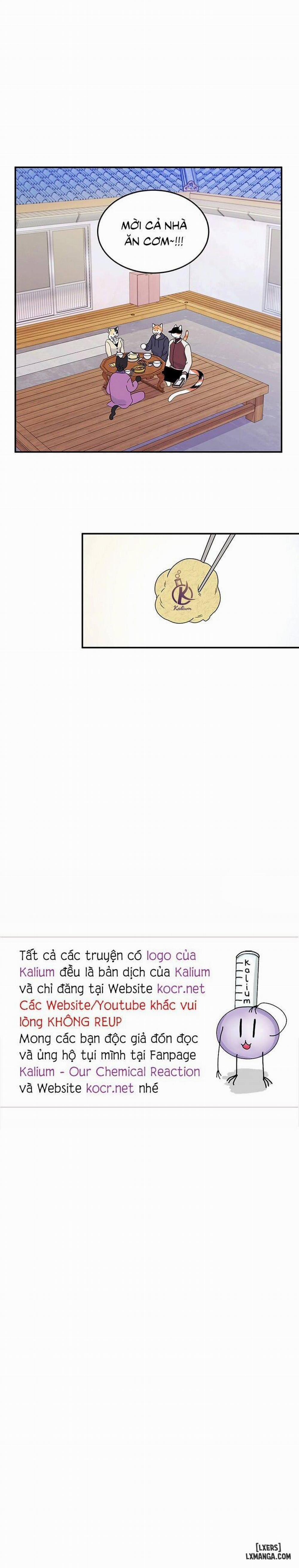 Dự án xanh 28 trang 17