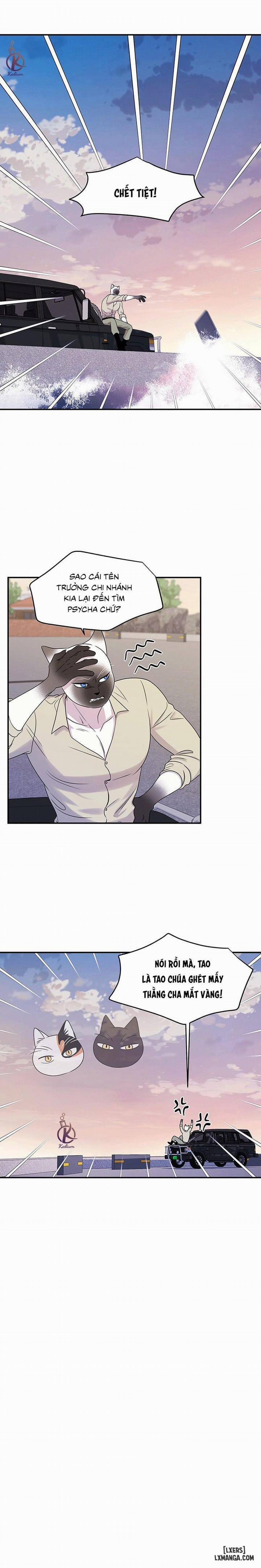 Dự án xanh 28 trang 8