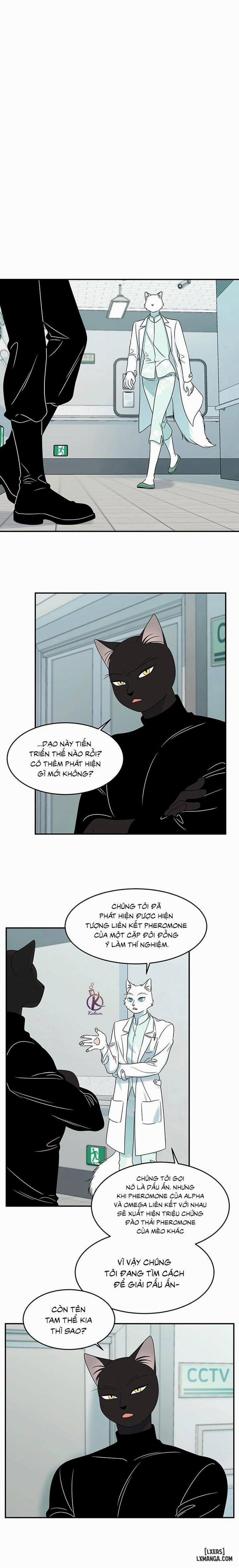 Dự án xanh 28 trang 9