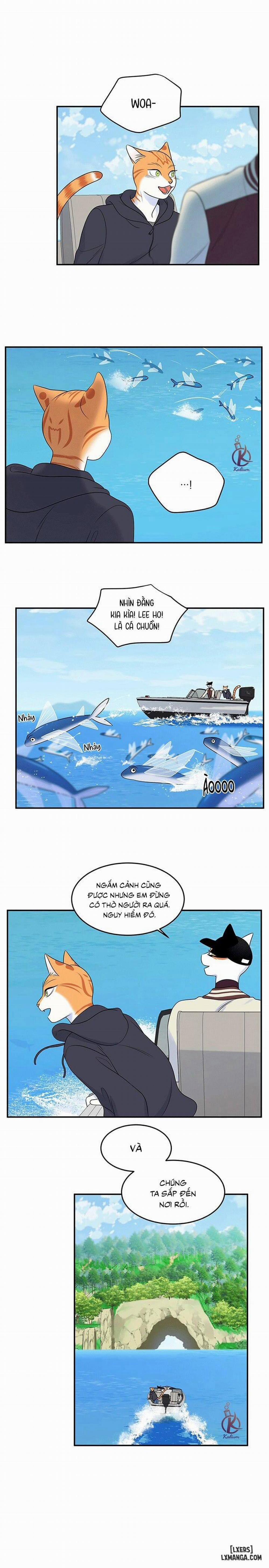 Dự án xanh 29 trang 12