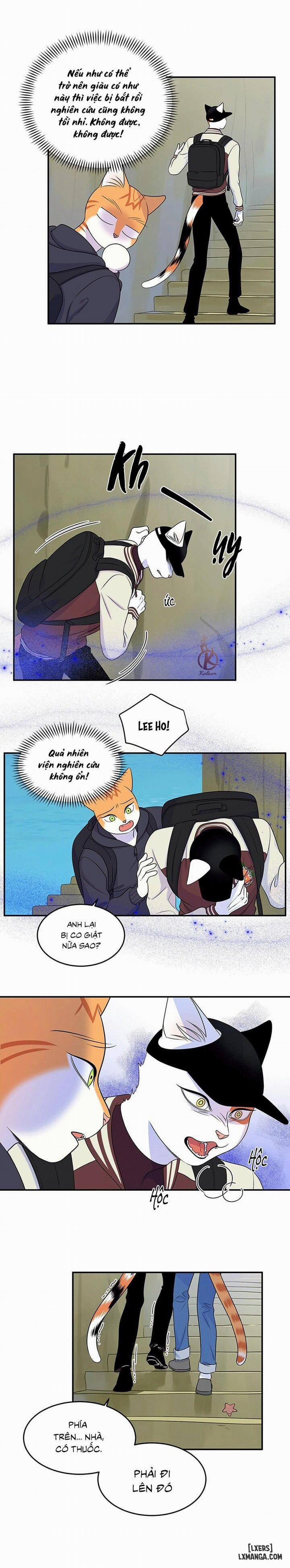 Dự án xanh 29 trang 14