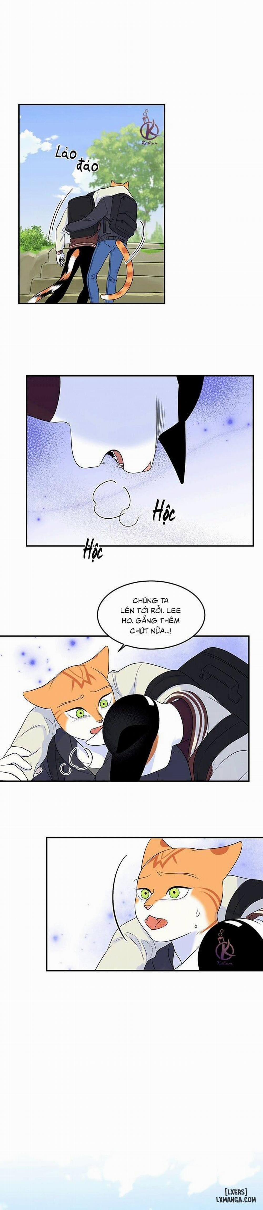 Dự án xanh 29 trang 15