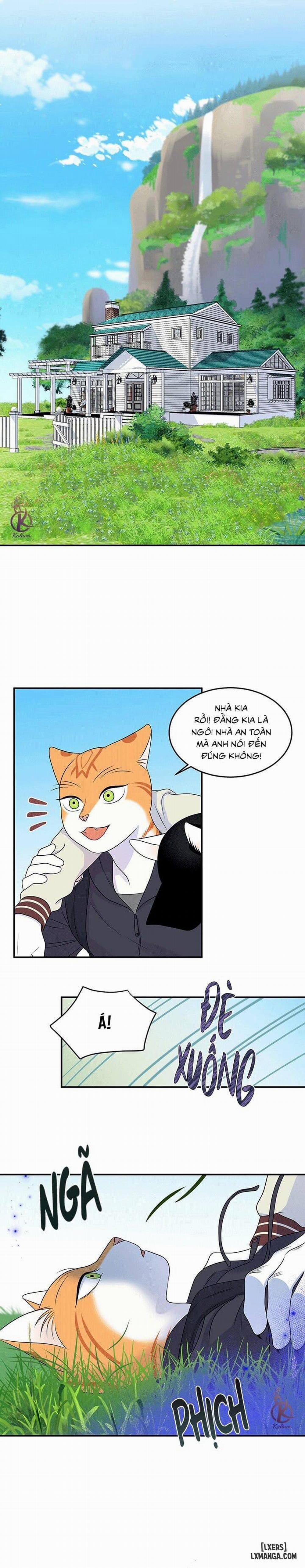 Dự án xanh 29 trang 16