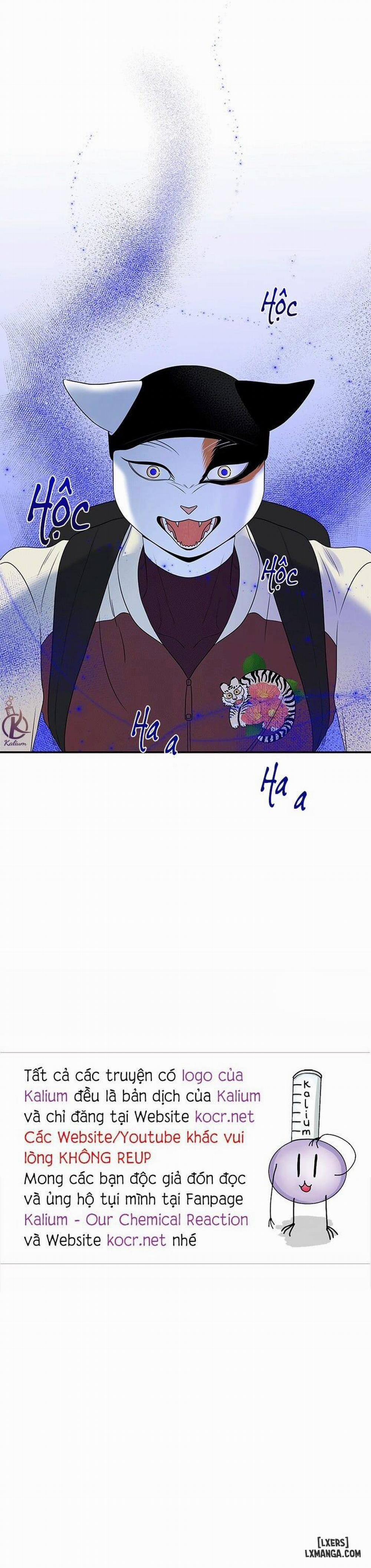 Dự án xanh 29 trang 17