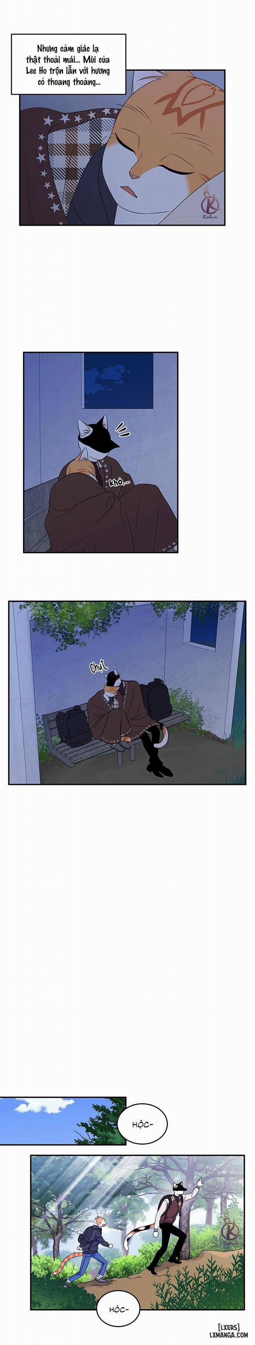 Dự án xanh 29 trang 8