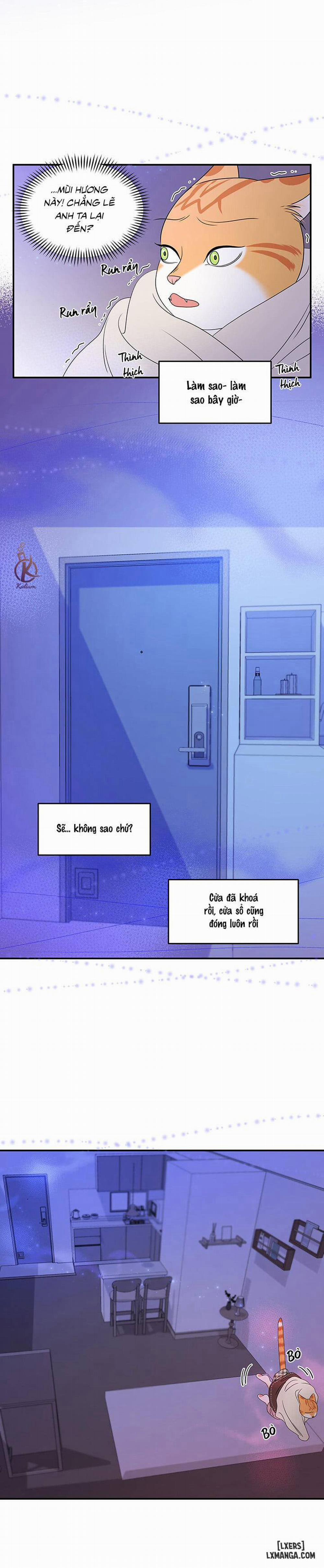 Dự án xanh 3 trang 13