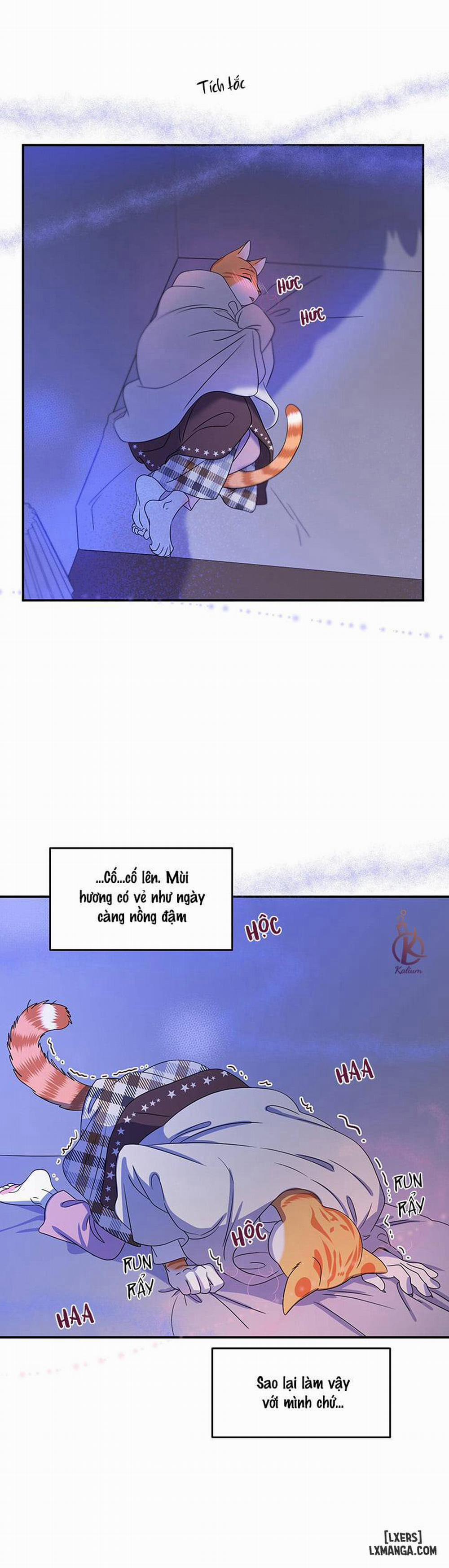 Dự án xanh 3 trang 15