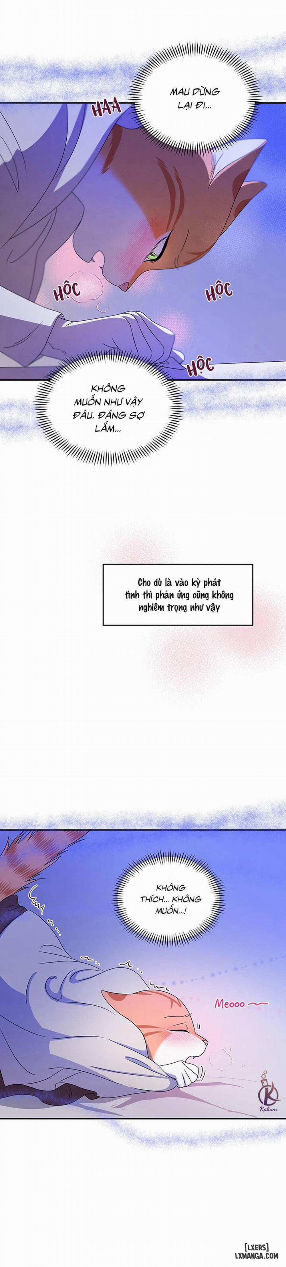 Dự án xanh 3 trang 16