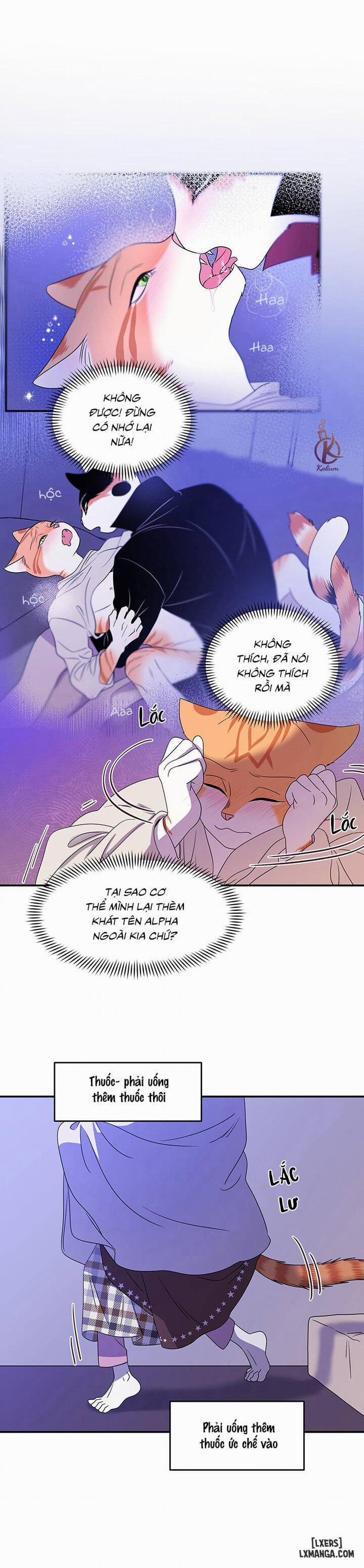 Dự án xanh 3 trang 17