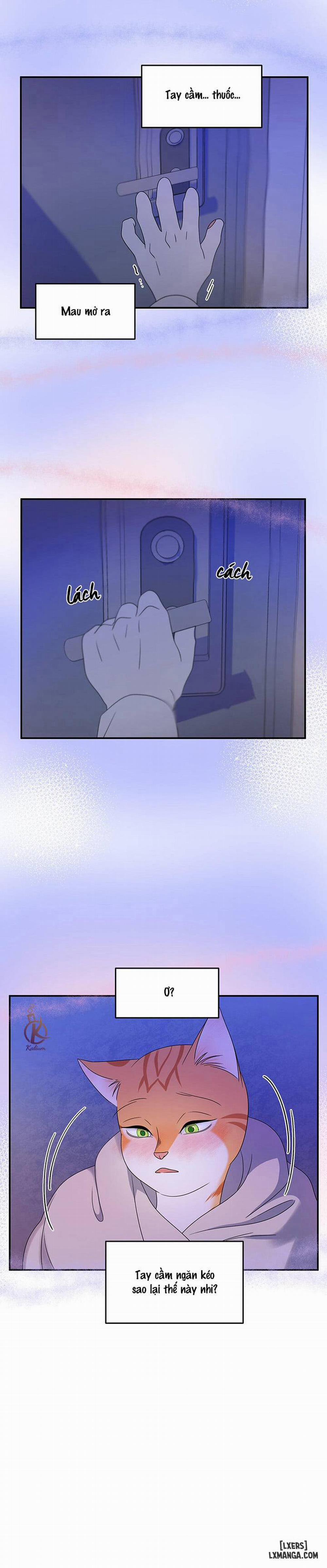 Dự án xanh 3 trang 21