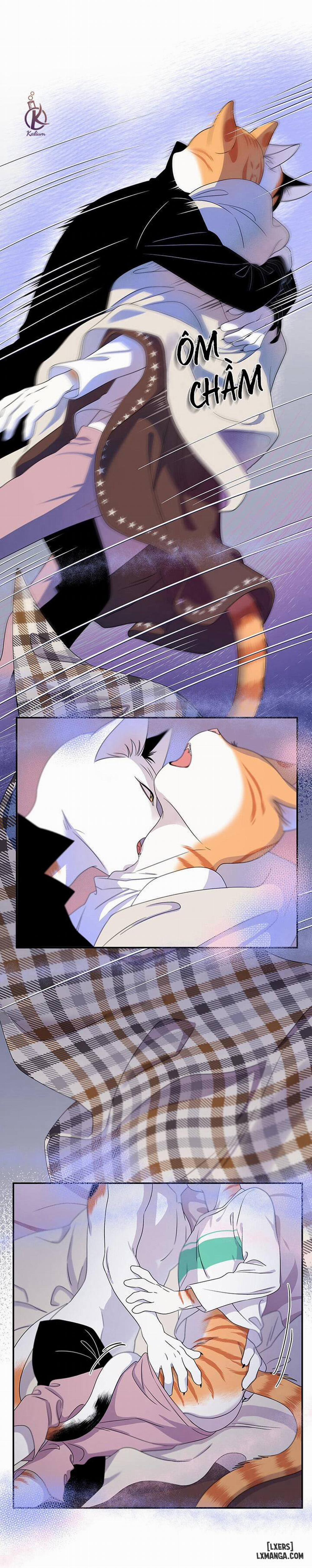 Dự án xanh 3 trang 22