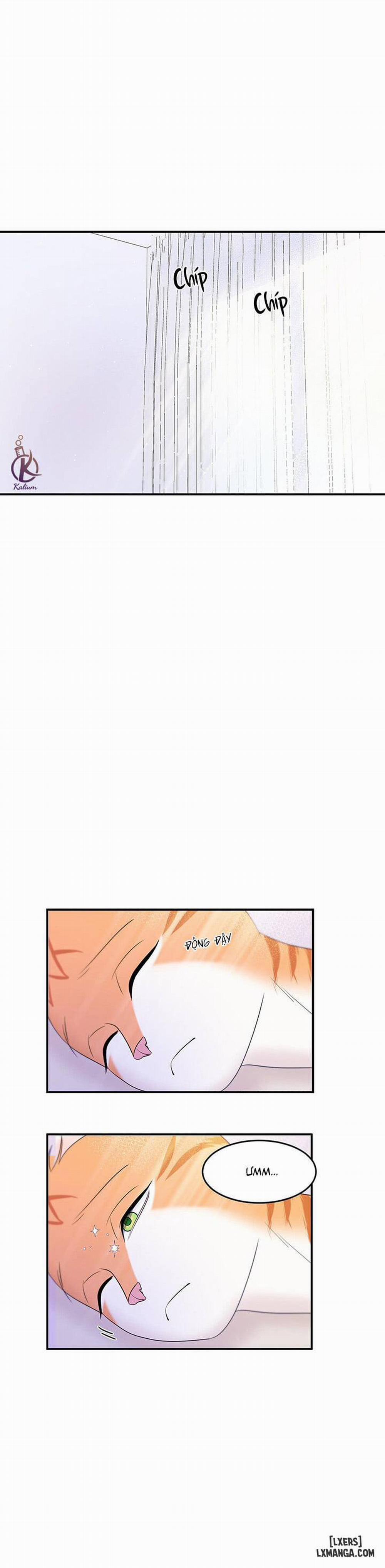 Dự án xanh 3 trang 24