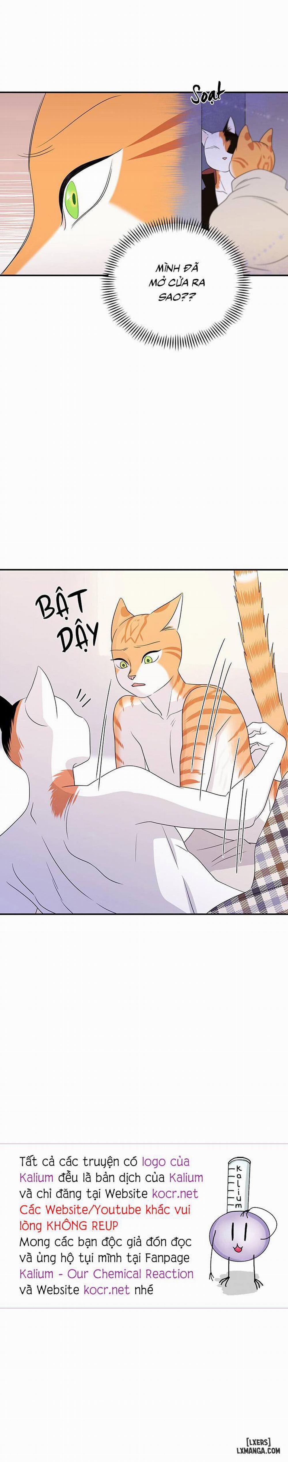 Dự án xanh 3 trang 26