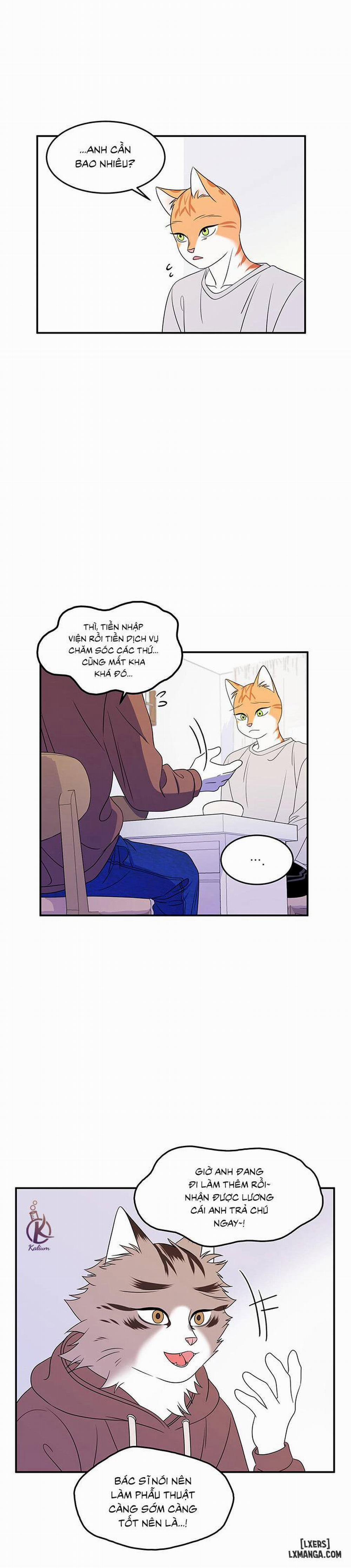 Dự án xanh 3 trang 4