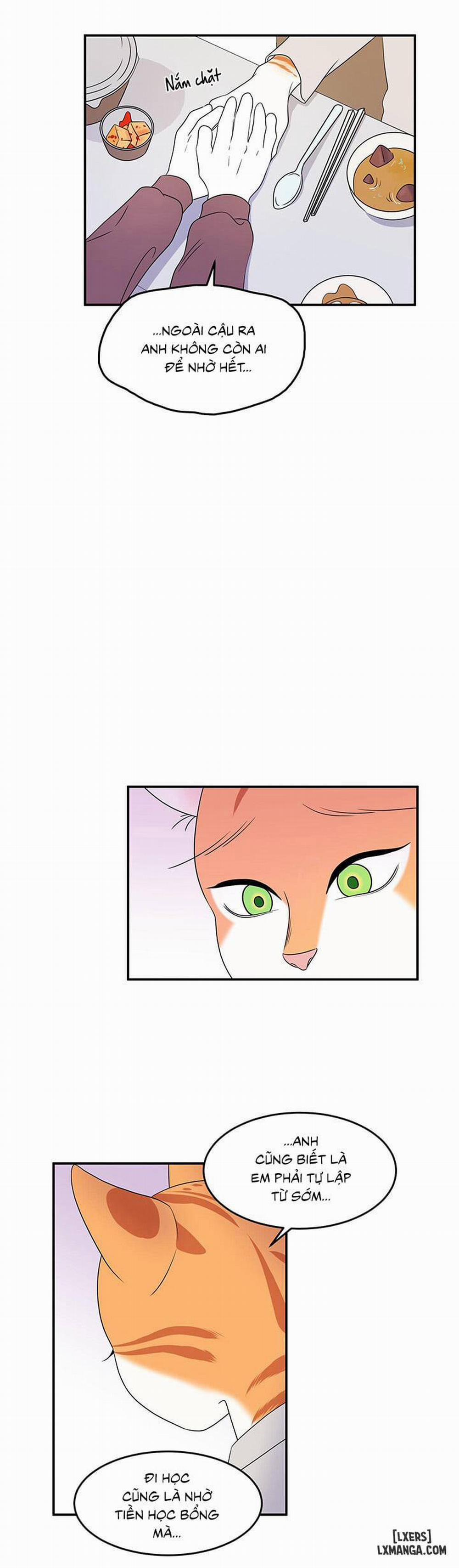 Dự án xanh 3 trang 5