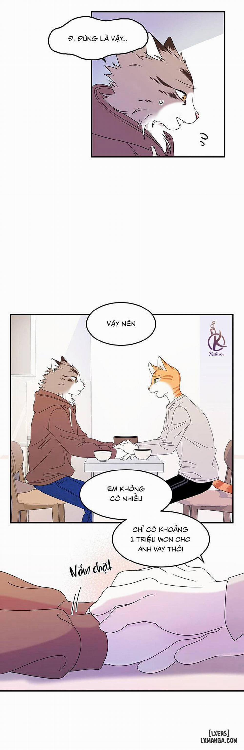 Dự án xanh 3 trang 6