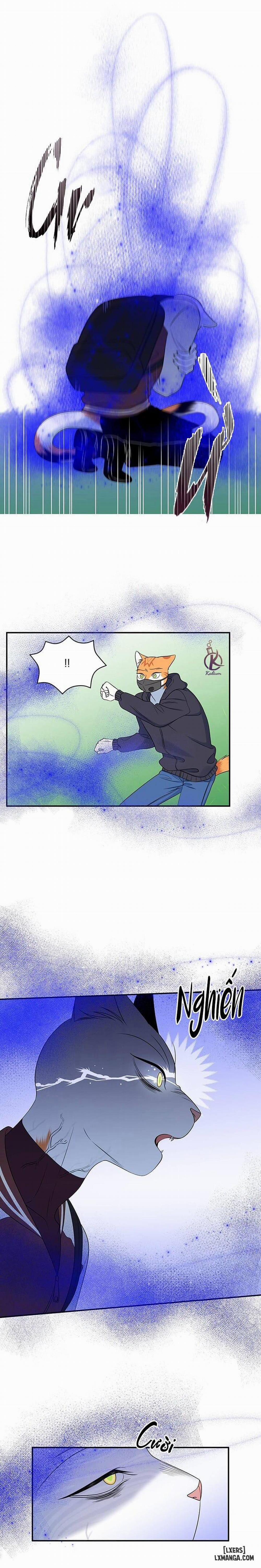 Dự án xanh 30 trang 11