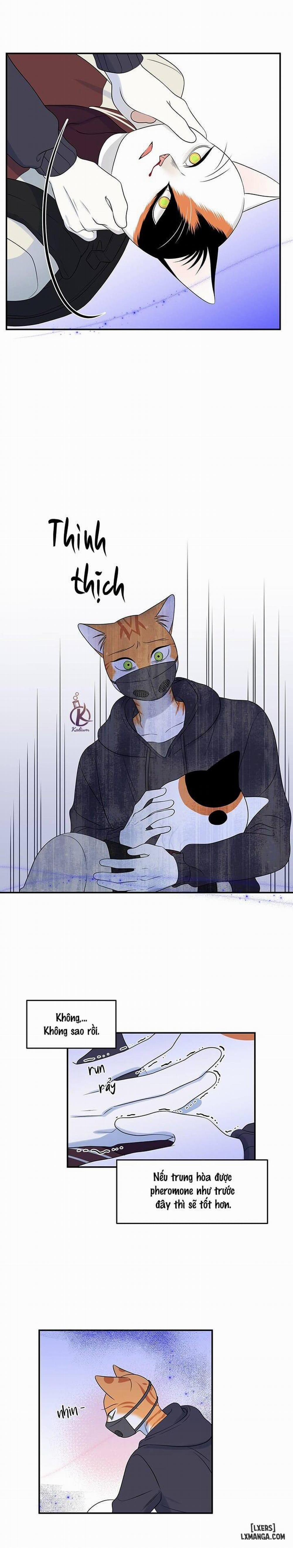 Dự án xanh 30 trang 13