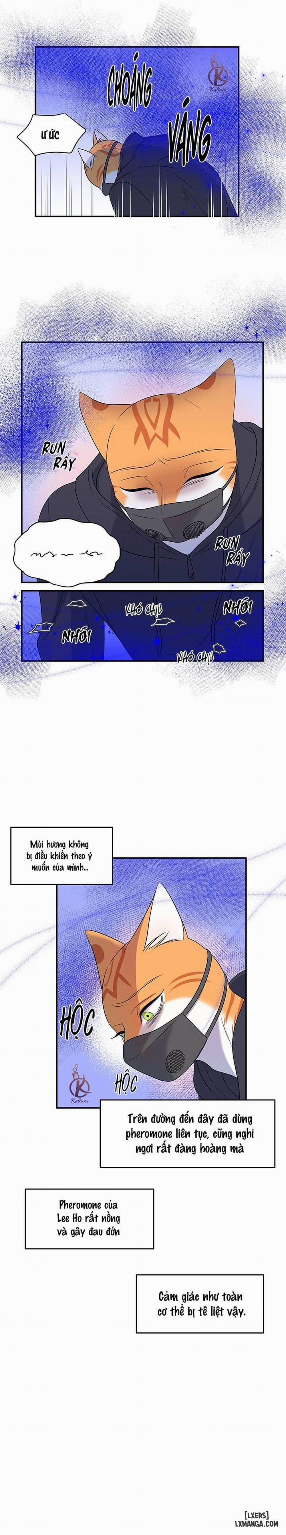 Dự án xanh 30 trang 14