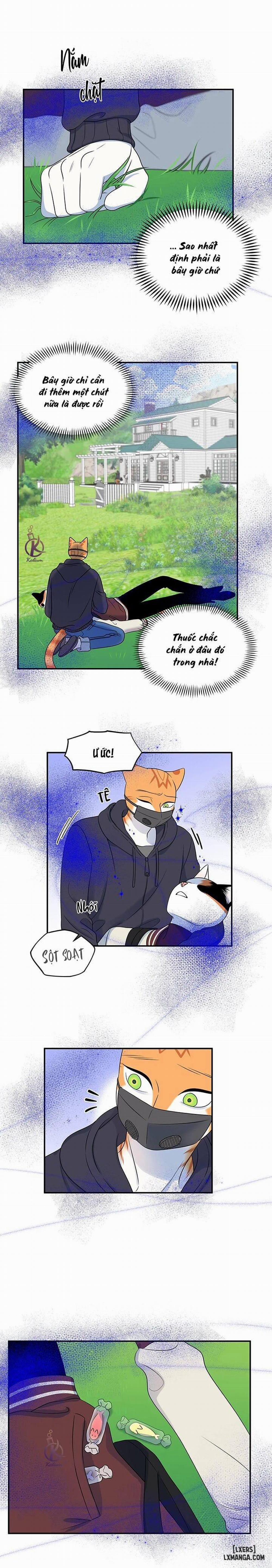 Dự án xanh 30 trang 15