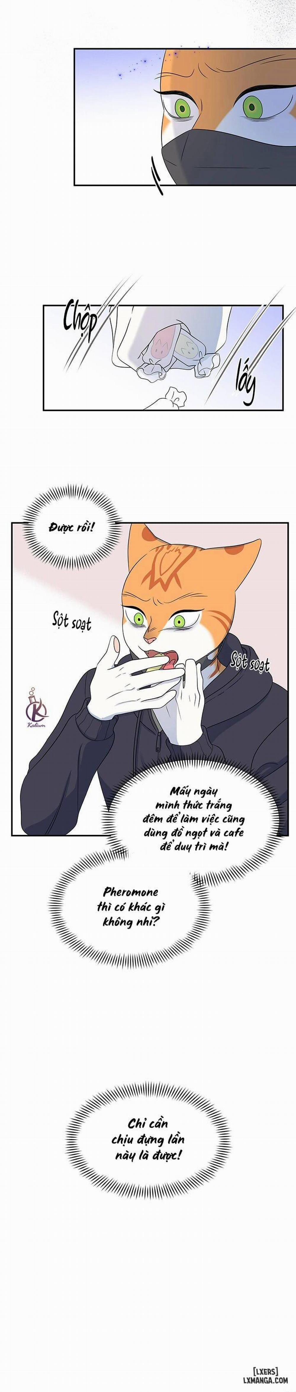 Dự án xanh 30 trang 16