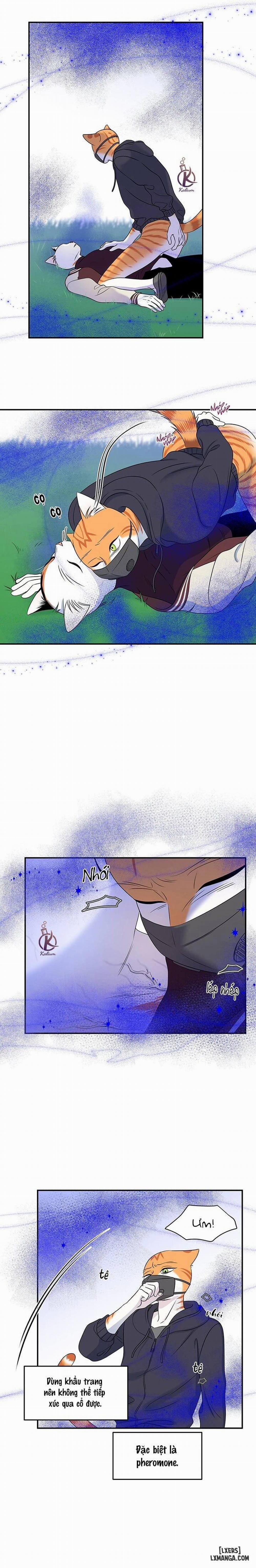 Dự án xanh 30 trang 17