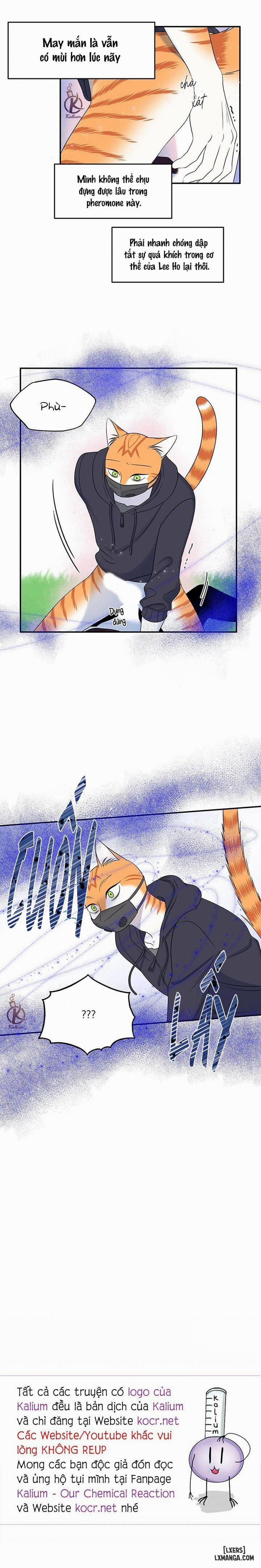 Dự án xanh 30 trang 18