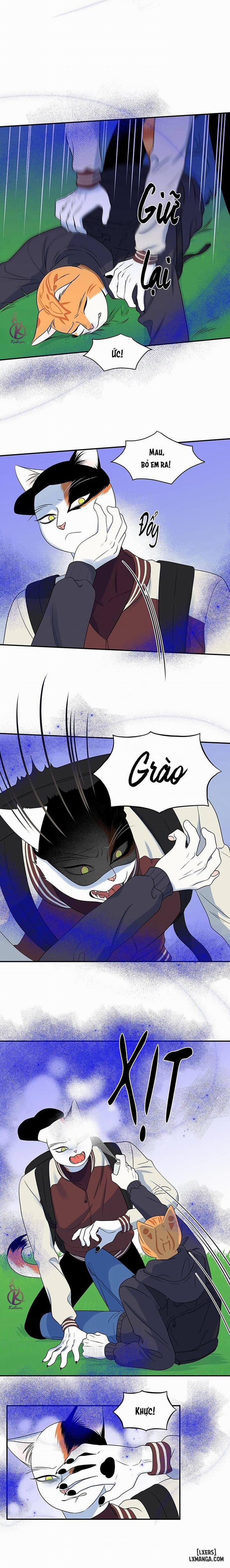 Dự án xanh 30 trang 3