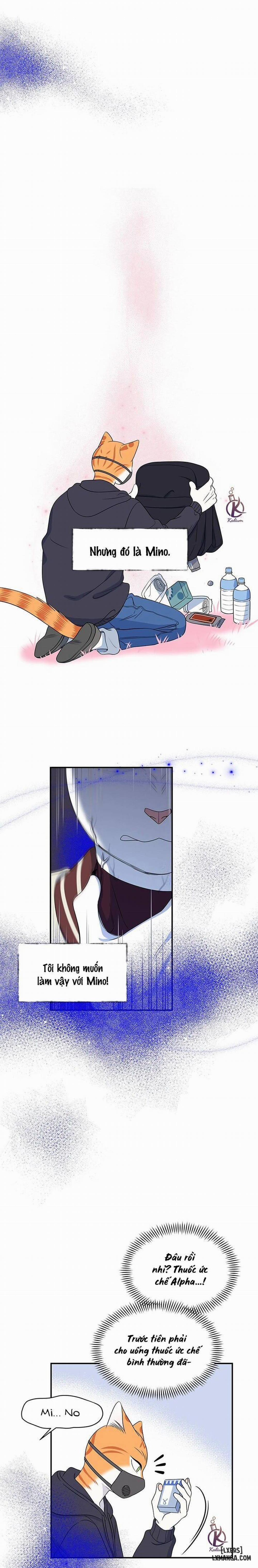 Dự án xanh 30 trang 8