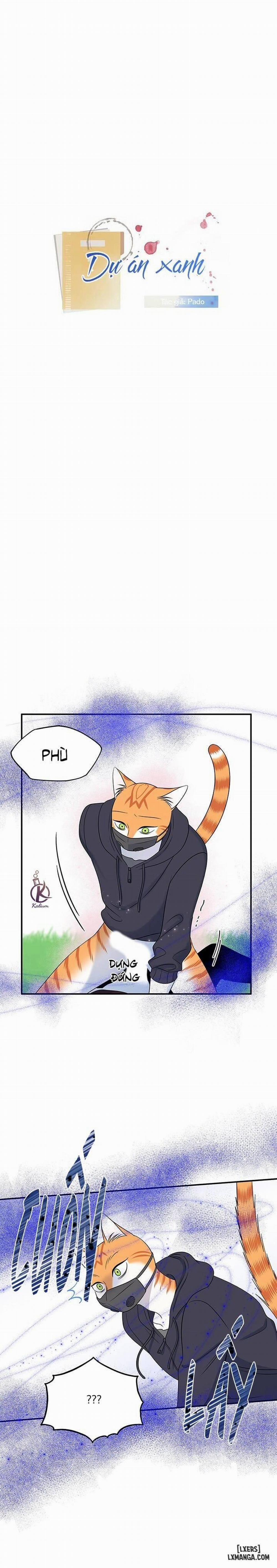 Dự án xanh 31 trang 0