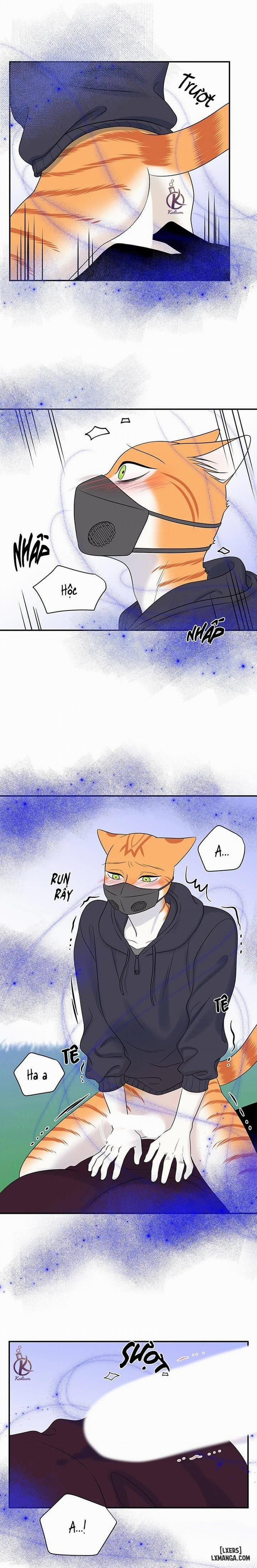 Dự án xanh 31 trang 1