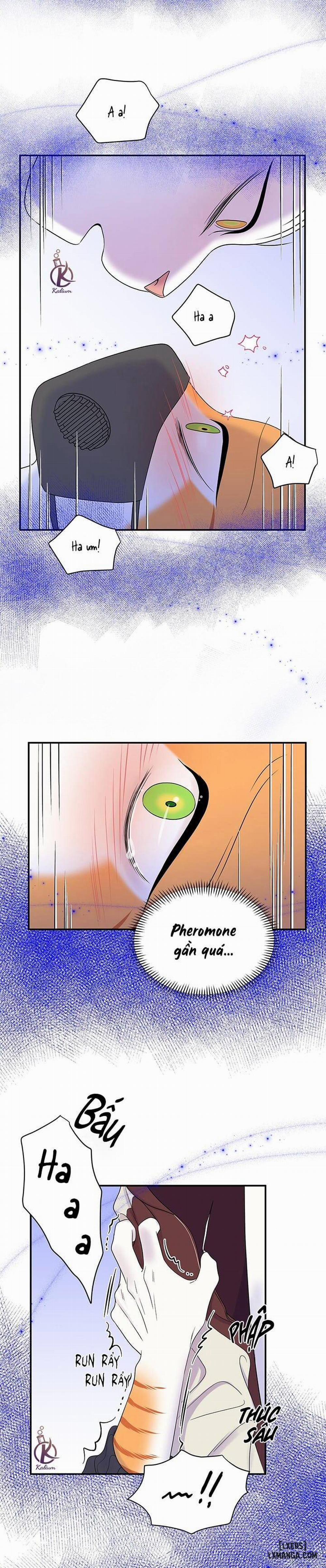 Dự án xanh 31 trang 10