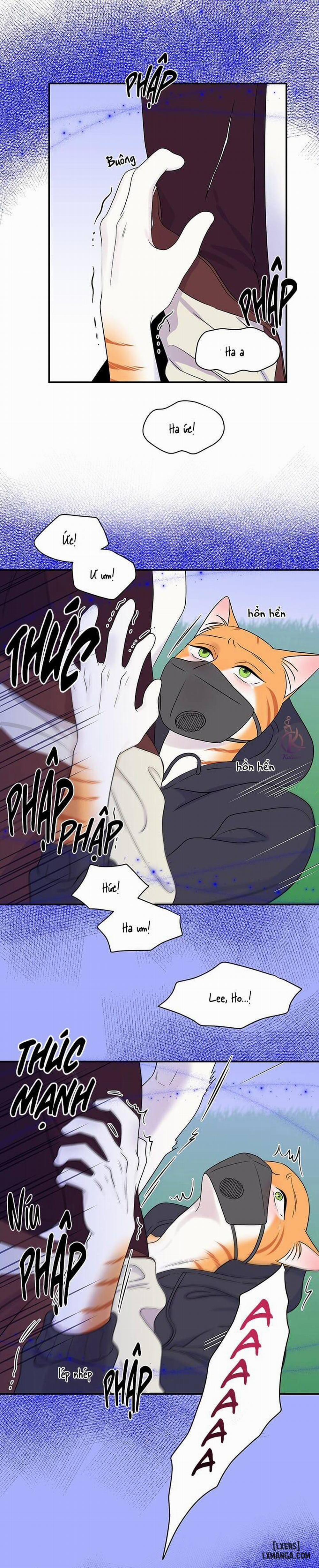 Dự án xanh 31 trang 11