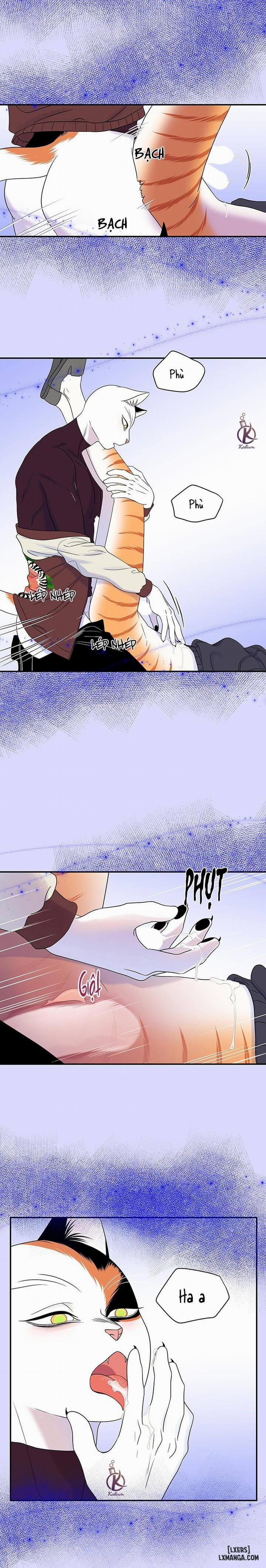 Dự án xanh 31 trang 13