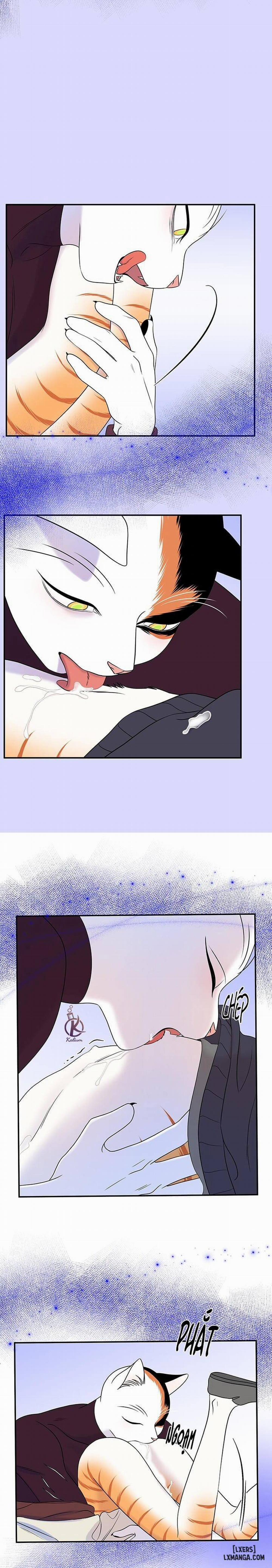 Dự án xanh 31 trang 14