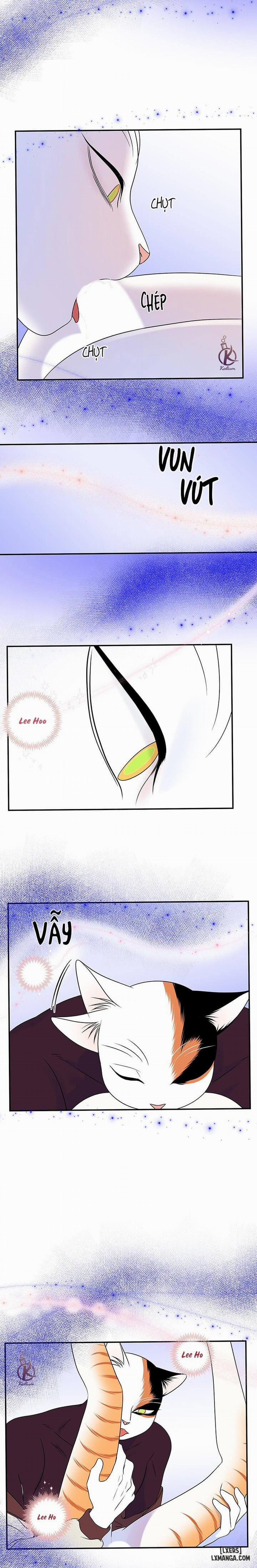 Dự án xanh 31 trang 15